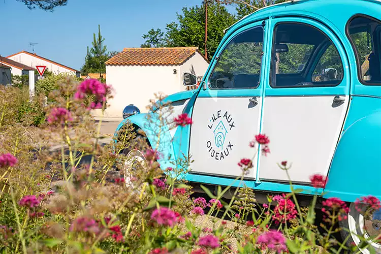 la 2CV bleue et blanche du camping l'Ile aux Oiseaux