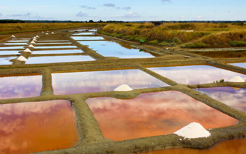 les marais salants du pays des olonnes