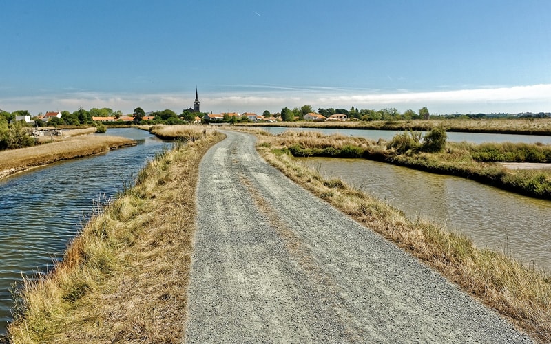 les marais et les salines de l'Ile d'Olonne